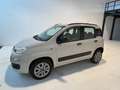 Fiat Panda Panda 1.2 Active natural power Beige - thumbnail 3