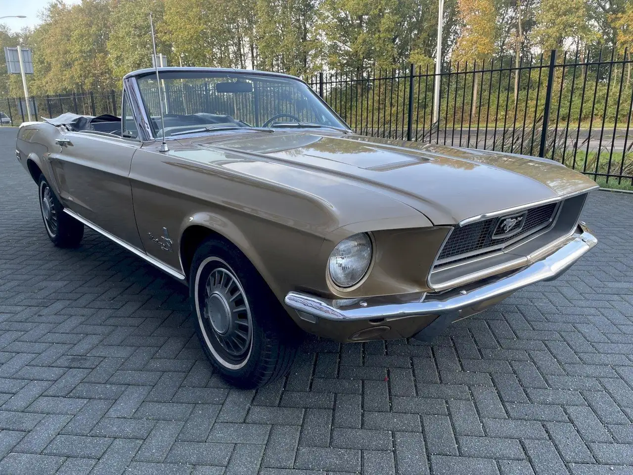 Ford Mustang Convertible, foto 6