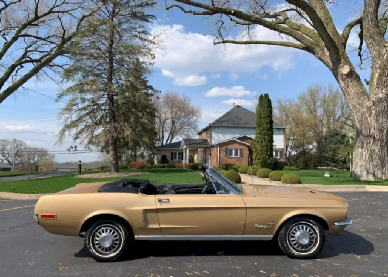 Ford Mustang Convertible, foto 7