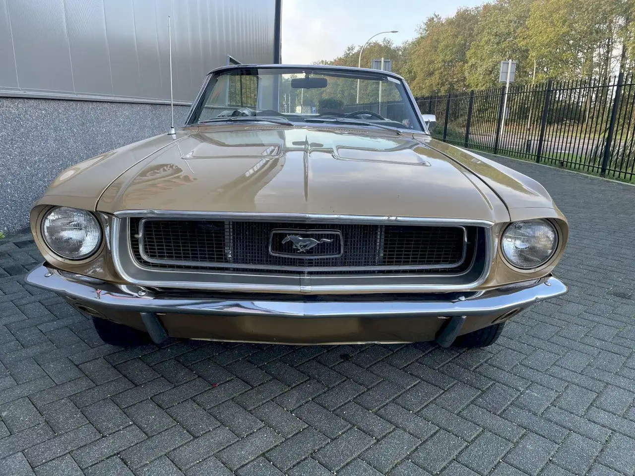 Ford Mustang Convertible, foto 5