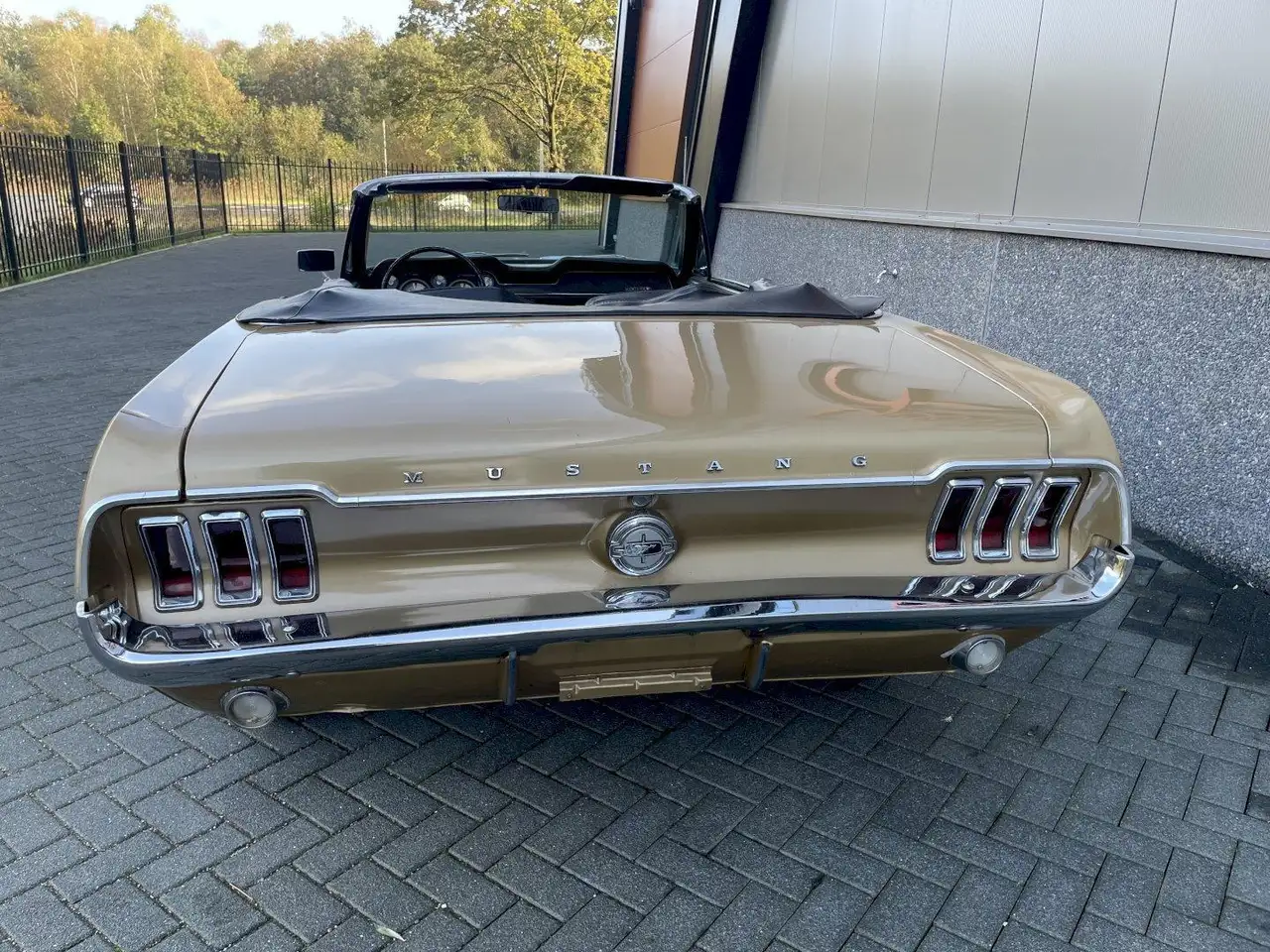 Ford Mustang Convertible, foto 9