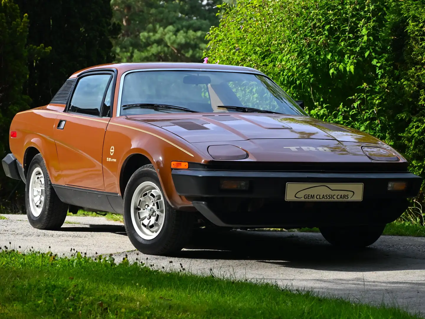 Triumph TR8 COUPE 6.000KM Marrón - 1
