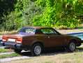 Triumph TR8 COUPE 6.000KM Коричневий - thumbnail 2