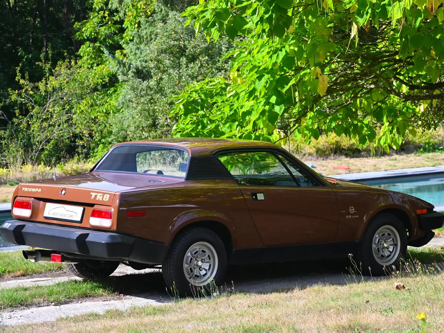 Triumph TR8 COUPE 6.000KM Marrón - 2