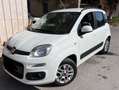 Fiat Panda Panda III 2012 1.2 Lounge 69cv E6 Bianco - thumbnail 4