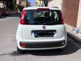 Fiat Panda Panda III 2012 1.2 Lounge 69cv E6 Bianco - thumbnail 2