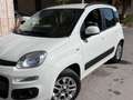 Fiat Panda Panda III 2012 1.2 Lounge 69cv E6 Bianco - thumbnail 1