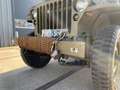 Jeep Willys Willys army jeep CJ Verde - thumbnail 26