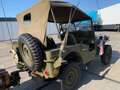 Jeep Willys Willys army jeep CJ Verde - thumbnail 4