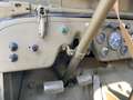 Jeep Willys Willys army jeep CJ Verde - thumbnail 19