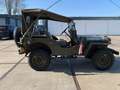 Jeep Willys Willys army jeep CJ Verde - thumbnail 33