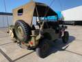 Jeep Willys Willys army jeep CJ Verde - thumbnail 32