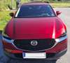 Mazda CX-30 CX-30 G122 Comfort /SO Aut. Comfort /SO Rot - thumbnail 6