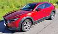 Mazda CX-30 CX-30 G122 Comfort /SO Aut. Comfort /SO Rot - thumbnail 1