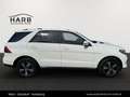 Mercedes-Benz GLE 250 d 4matic Weiß - thumbnail 9