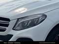 Mercedes-Benz GLE 250 d 4matic Weiß - thumbnail 10