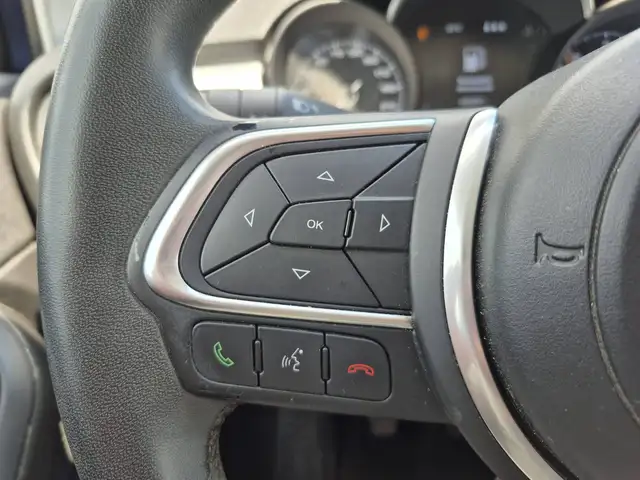 Fiat 500x view 14