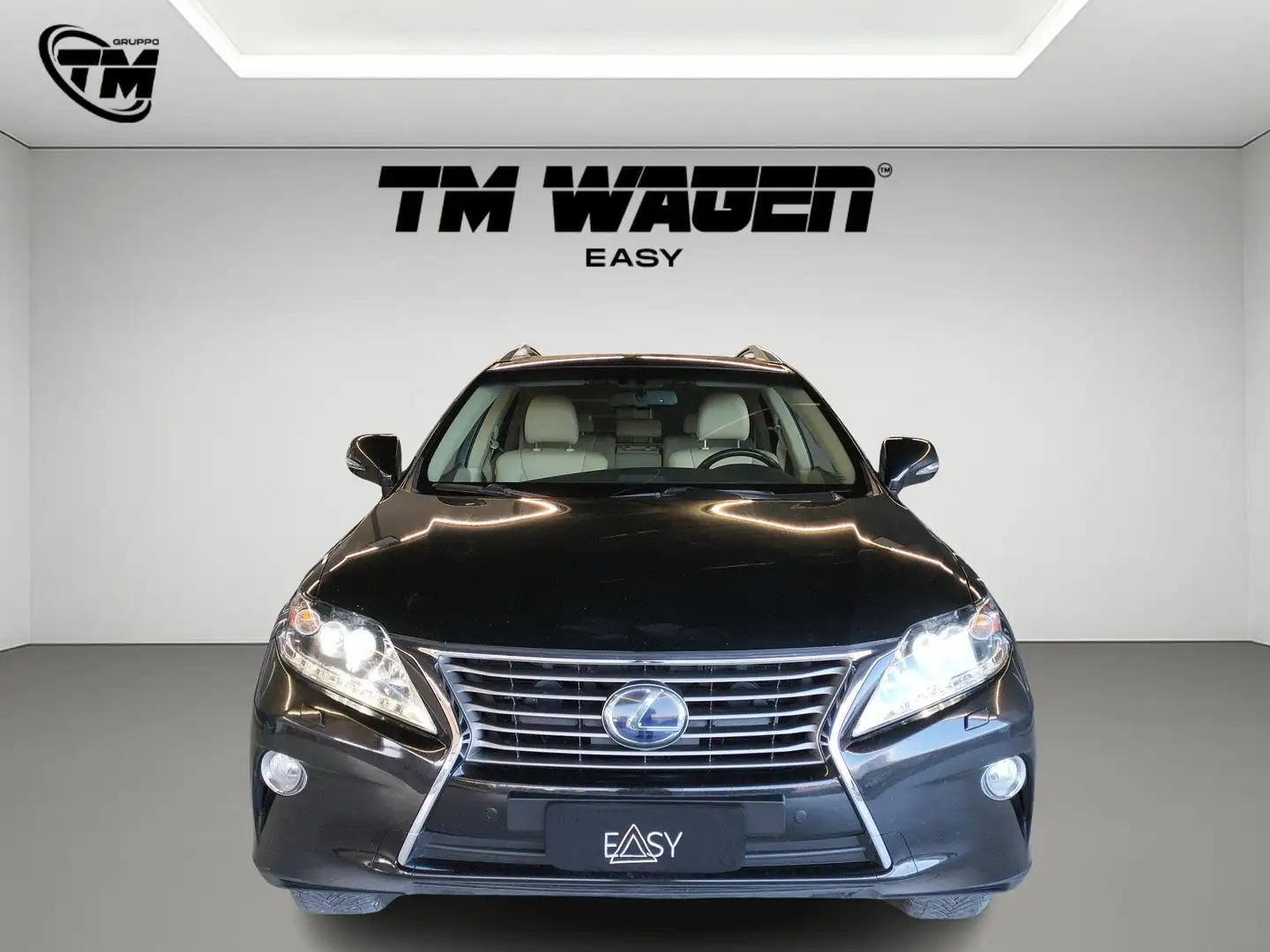 Lexus RX 450h 3.5 Luxury cvt 4X4 Blu/Azzurro - 2