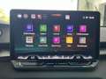 CUPRA Terramar DSG AHK|LED|CarPlay|Kamera|5JGar|19 Gris - thumbnail 14