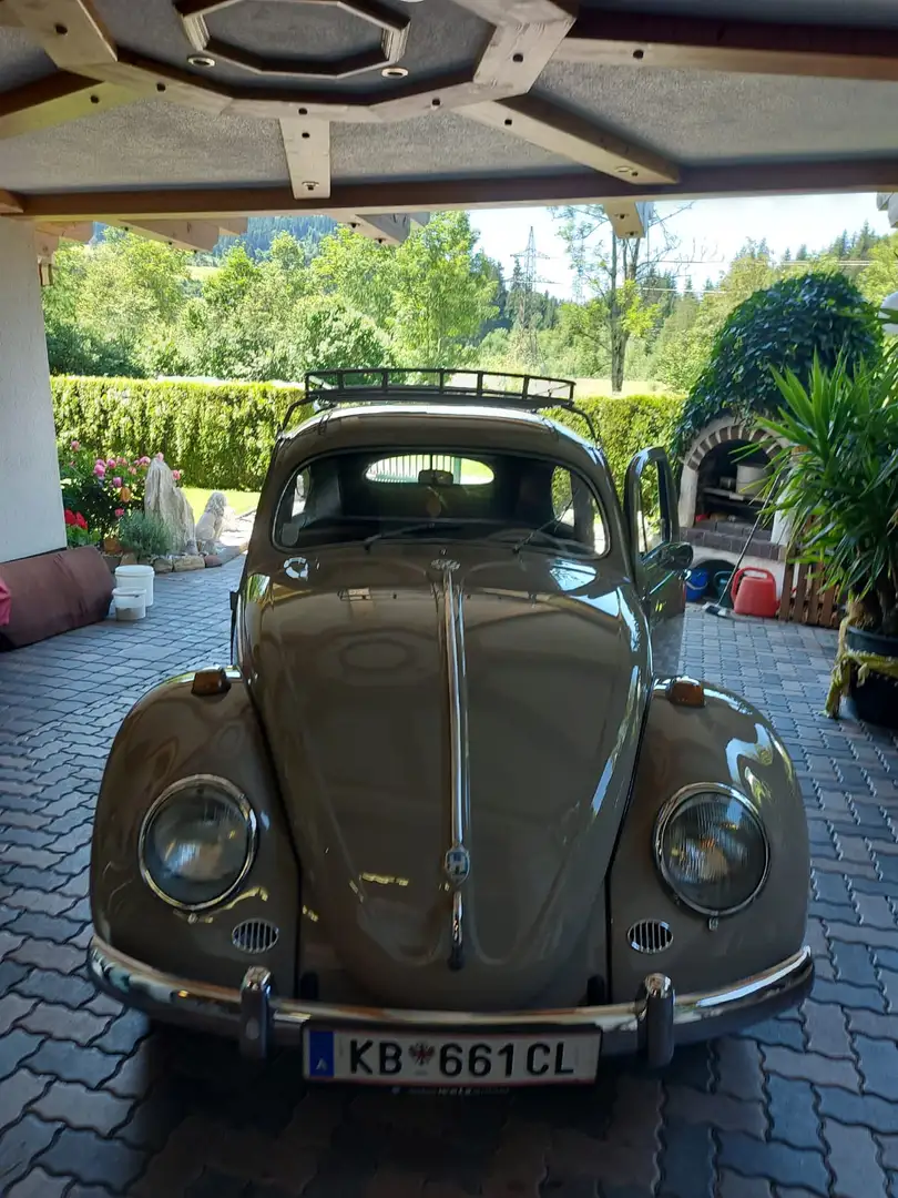 Volkswagen Käfer VW Käfer Typ 11 "Oval" Luxus Beige - 2