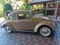 Volkswagen Käfer VW Käfer Typ 11 "Oval" Luxus Beige - thumbnail 3
