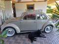 Volkswagen Käfer VW Käfer Typ 11 "Oval" Luxus Beige - thumbnail 4