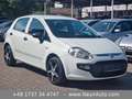Fiat Punto Evo Active | Klima | 5 Türer Bianco - thumbnail 1