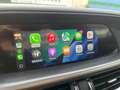 Alfa Romeo Stelvio 2.0 Turbo 280 CV AT8 Q4 Veloce Bianco - thumbnail 11