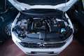 Volkswagen T-Roc 1.0 tsi Life 110cv - thumbnail 12