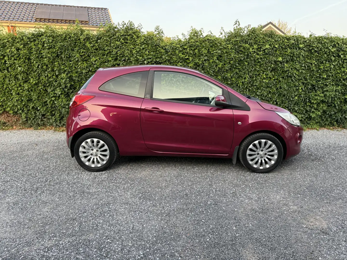 Ford Ka/Ka+ 1.2 Titanium | Airco | Elekt. Ramen | LMV | Privac Paars - 2