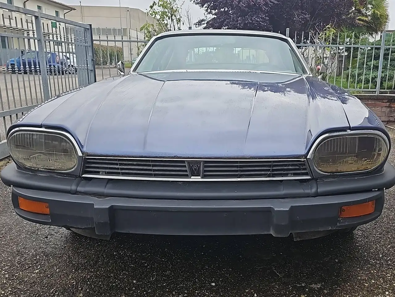 Jaguar XJS V12 5.3 1a serie, foto 3