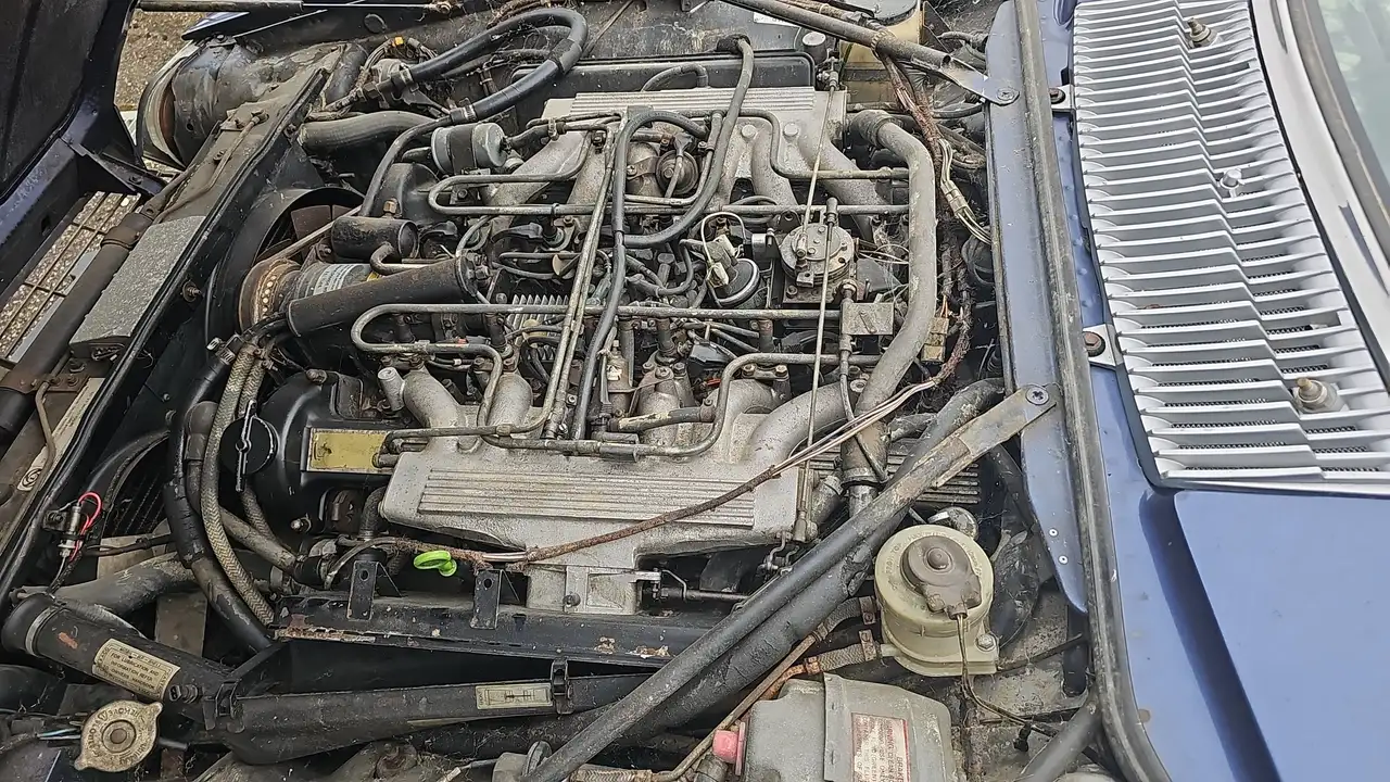 Jaguar XJS V12 5.3 1a serie, foto 4