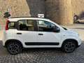 Fiat Panda Panda 1.0 hybrid Launch Edition s Bianco - thumbnail 4