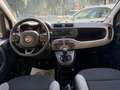 Fiat Panda Panda 1.0 hybrid Launch Edition s Bianco - thumbnail 10