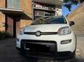 Fiat Panda Panda 1.0 hybrid Launch Edition s Bianco - thumbnail 2