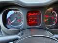 Fiat Panda Panda 1.0 hybrid Launch Edition s Bianco - thumbnail 11