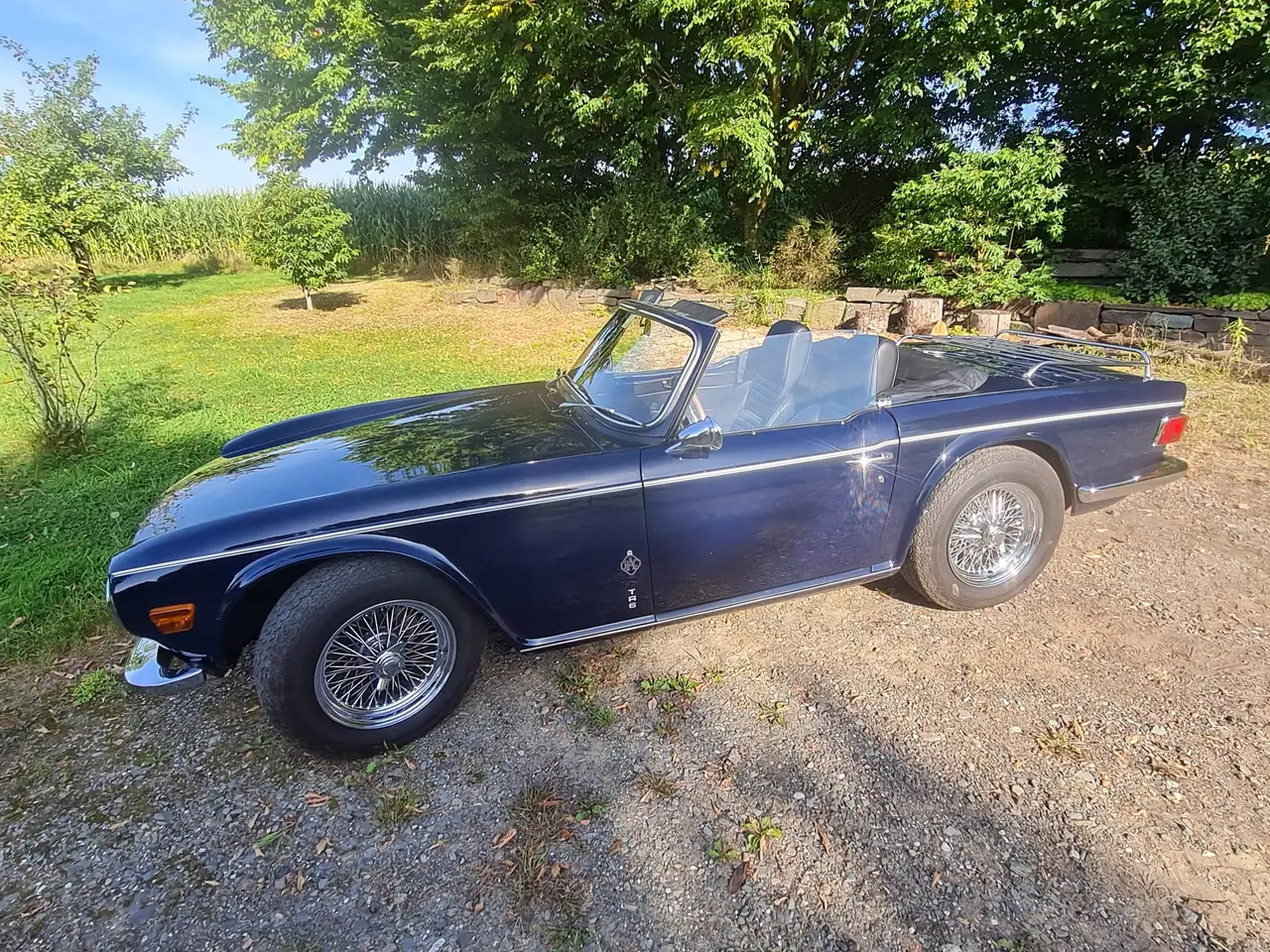 Triumph TR6 Cabrio, foto 2