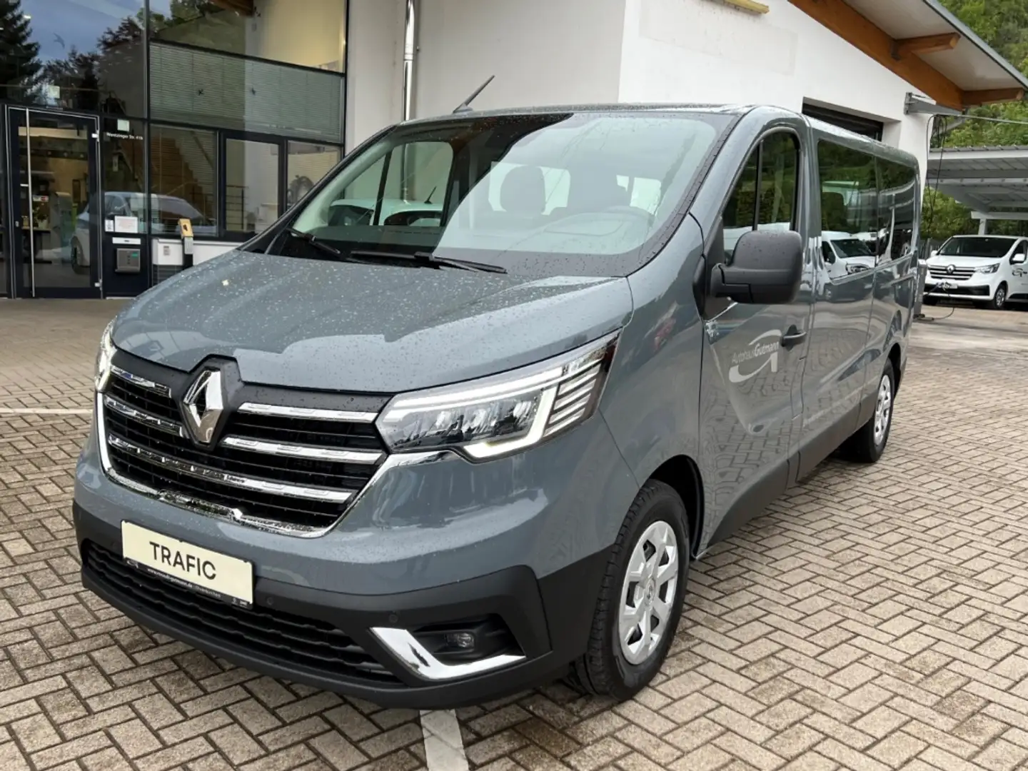Renault Trafic Combi L2H1 3,0t Life 2.0 BLUE dCi 150 EU6d Navi di Šedá - 2