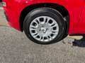 Fiat Panda Pandina 1.0 GSE Hybrid, KLima, 5 Sitzer, ESP, eFH Rot - thumbnail 4