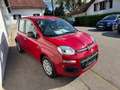 Fiat Panda Pandina 1.0 GSE Hybrid, KLima, 5 Sitzer, ESP, eFH Rot - thumbnail 3