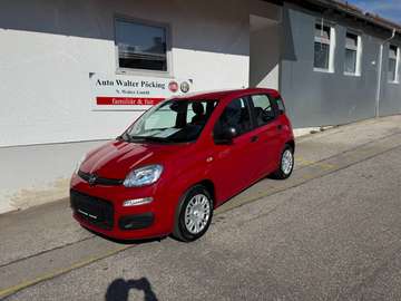 Pandina 1.0 GSE Hybrid, KLima, 5 Sitzer, ESP, eFH