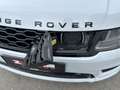 Land Rover Range Rover Sport P400 PHEV AWD Autobiography Dynamic Weiß - thumbnail 12