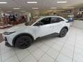 Subaru Uncharted Hikari 77kWh FWD Weiß - thumbnail 1