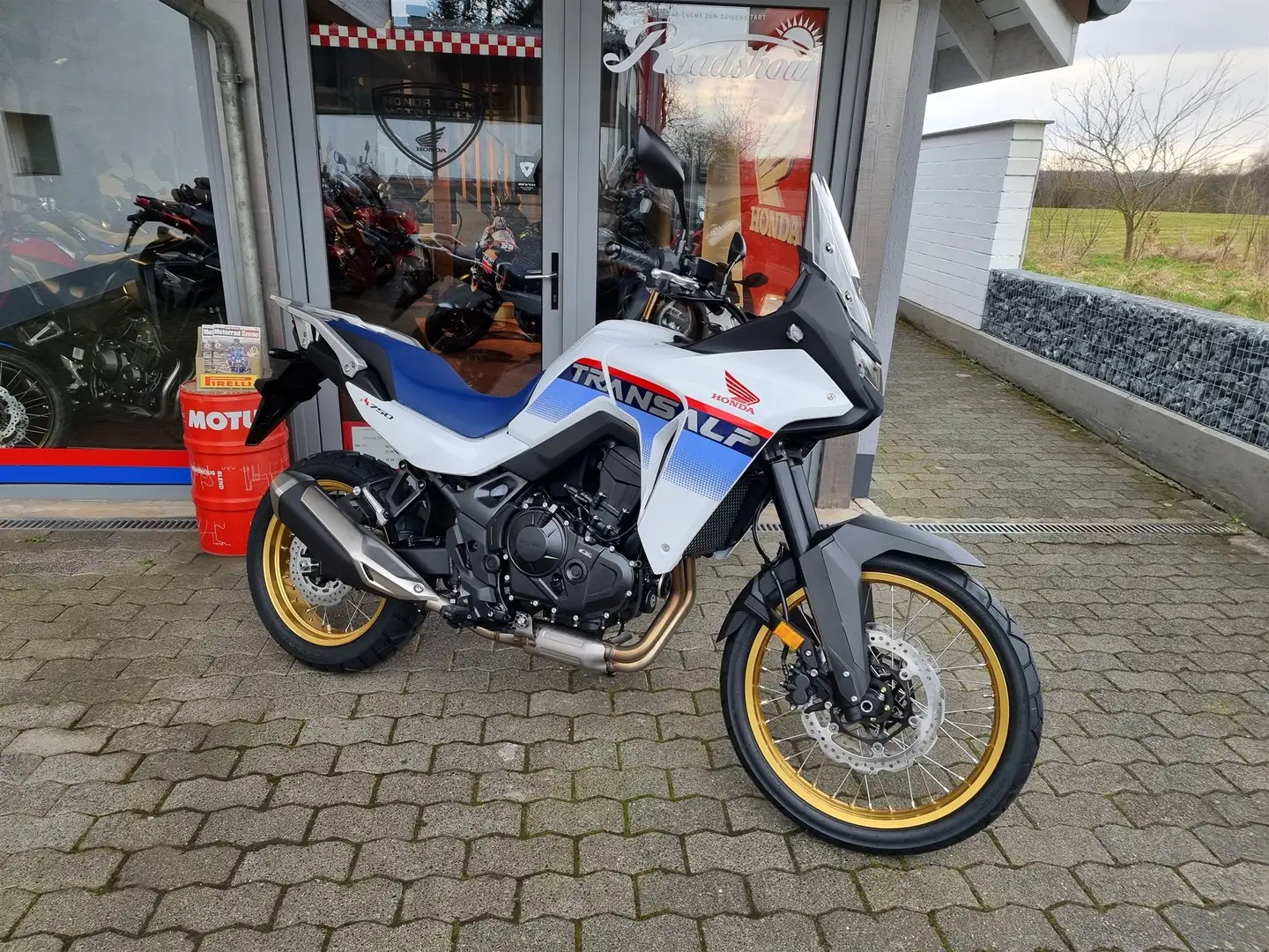 Honda Transalp Modell 2025 auf Lager Weiß - 1