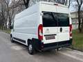 Citroen Jumper 2.2 Hdi L2H2 Profi*Klima*AHK*PDC*Tüv 2027 Weiß - thumbnail 4
