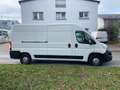 Citroen Jumper 2.2 Hdi L2H2 Profi*Klima*AHK*PDC*Tüv 2027 Weiß - thumbnail 6