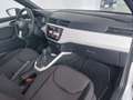 SEAT Arona 1.0 TSI Ecomotive S&S Xcellence DSG7 115 Blanco - thumbnail 8