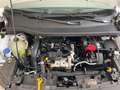 Ford Transit Courier 1.5 EcoBlue 100CV Van Trend Bianco - thumbnail 6