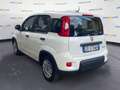 Fiat Panda III 2021 1.0 firefly hybrid s&s 70cv Weiß - thumbnail 4