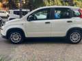 Fiat Panda III 2021 1.0 firefly hybrid s&s 70cv Weiß - thumbnail 3